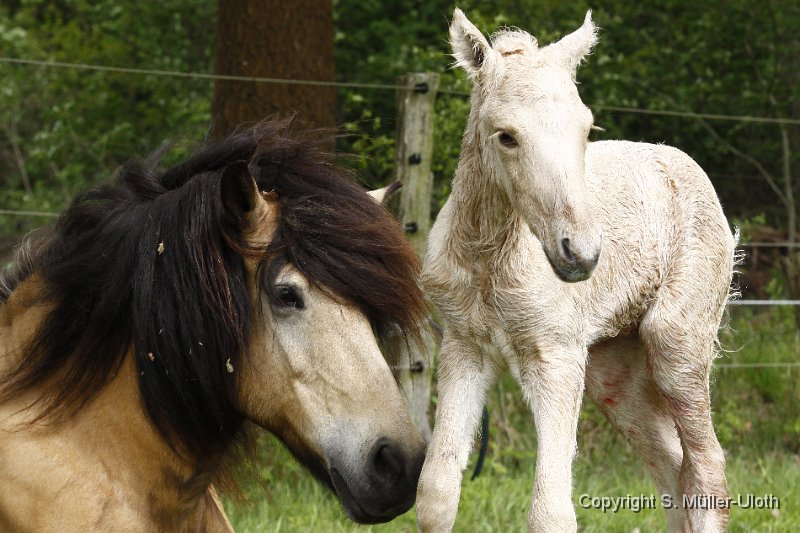 Hjoerdis 41 Min alt (10).JPG